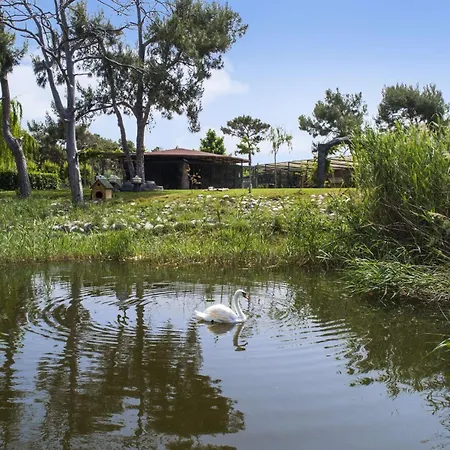 Hilton Sarigerme & 5*